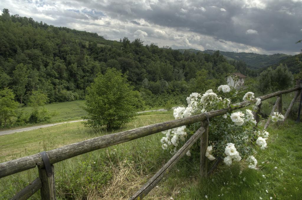B&B Il Sole Delle Rive Sinio Kültér fotó