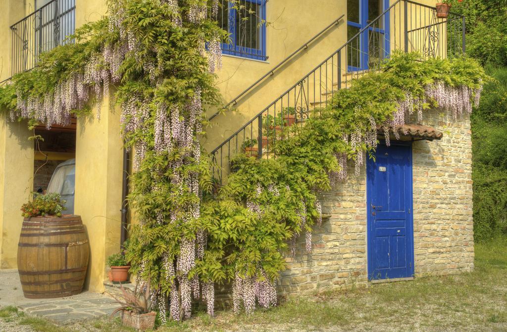 B&B Il Sole Delle Rive Sinio Kültér fotó